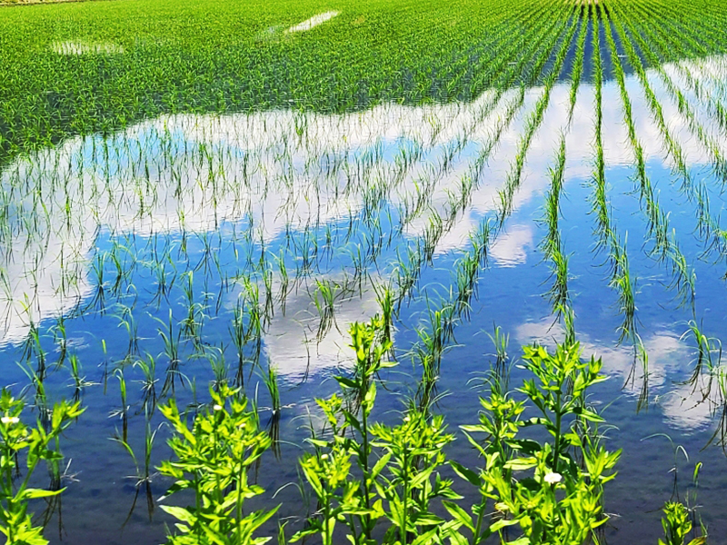 水源のイメージ