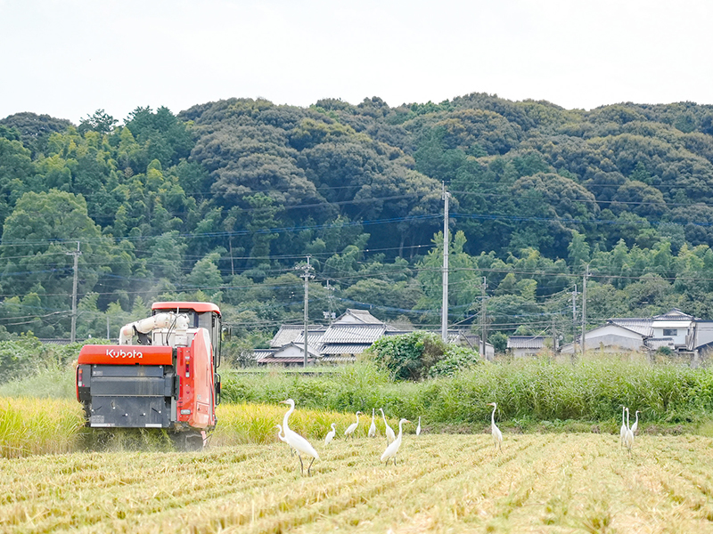 自然に囲まれた環境のイメージ