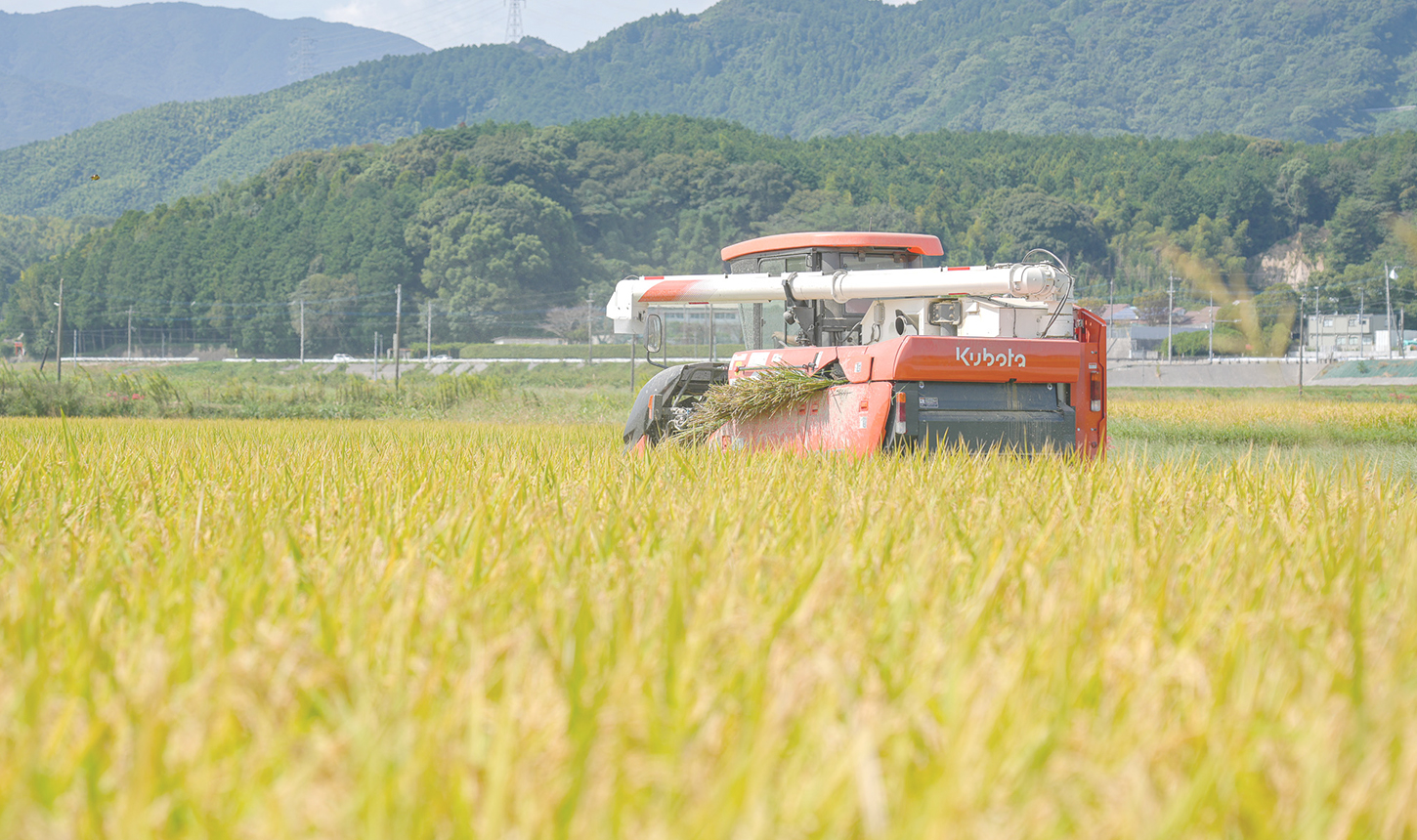 福岡県産米夢つくし・元気つくし通販｜Forest Farm